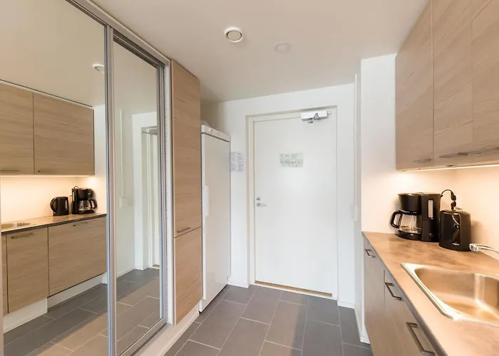 Skisuite 310 By Interhome * 列维