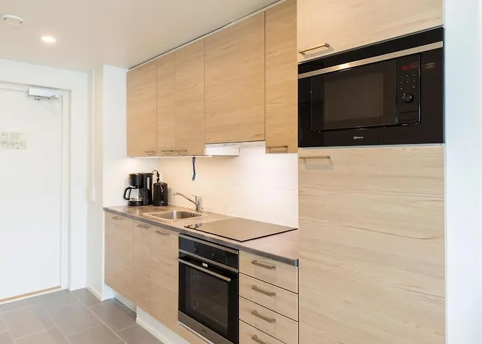 Skisuite 310 By Interhome 度假居 列维